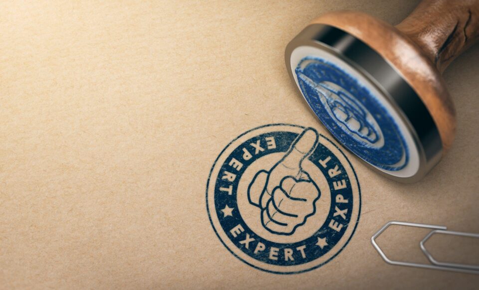 expert-granted_5656d0f6b5a375fd90a9aaeae67b7392_2000