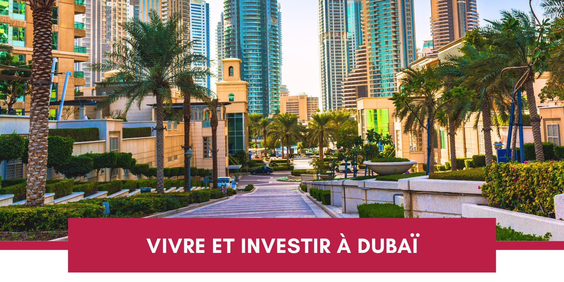 V​ivre et Investir à Dubaï : Guide Pour les Expatriés Francophones cover