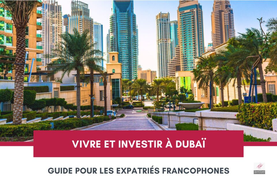V​ivre et Investir à Dubaï : Guide Pour les Expatriés Francophones cover
